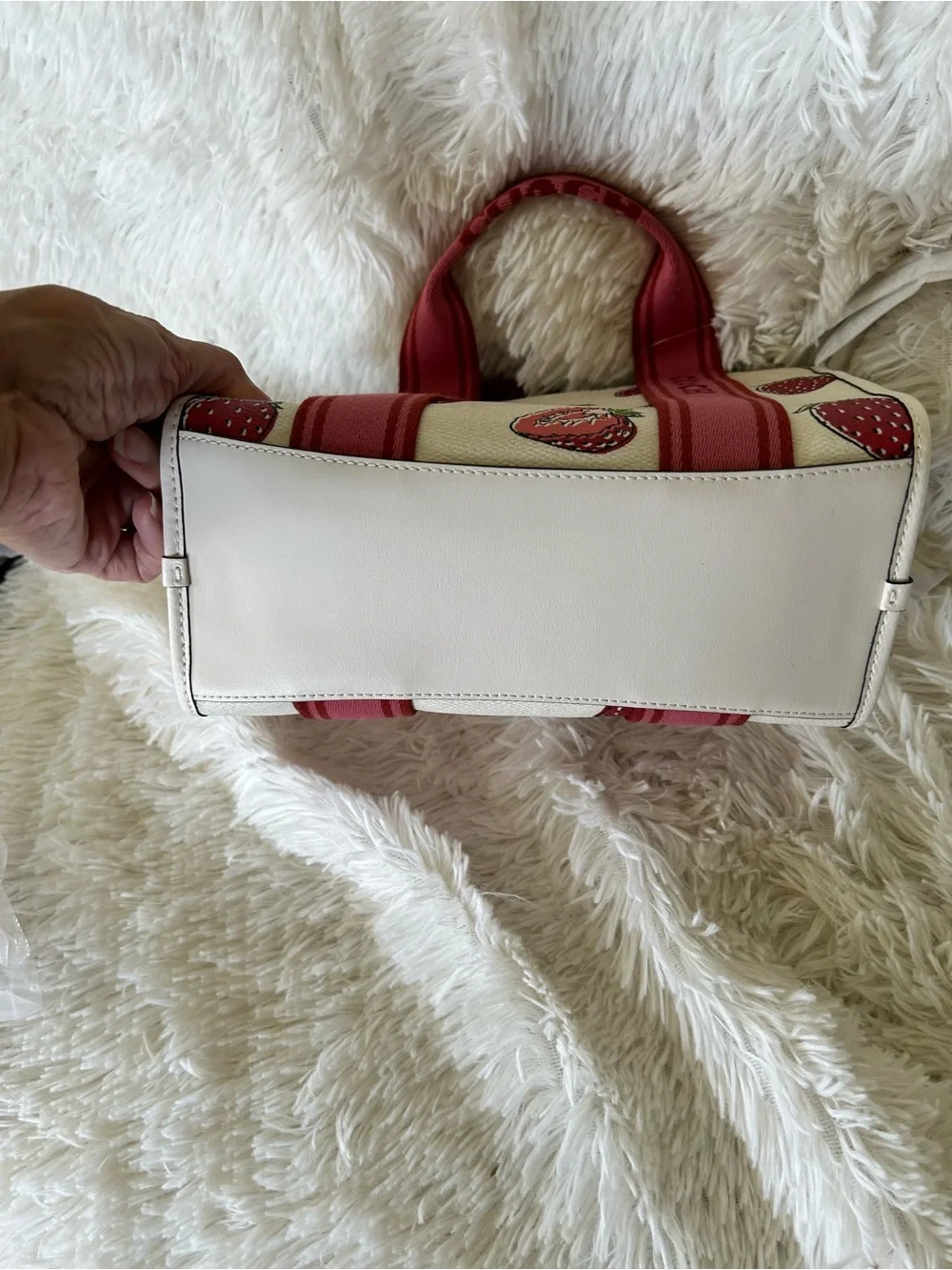 Coach hang webbing red