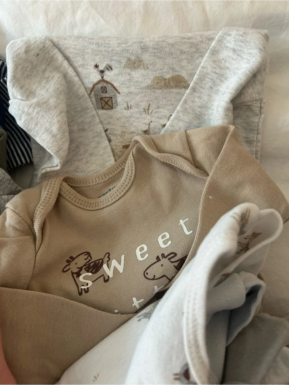Carters item description