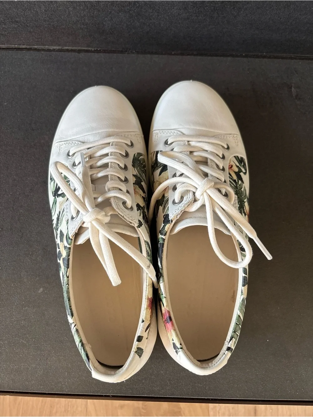 Ecco cute pair