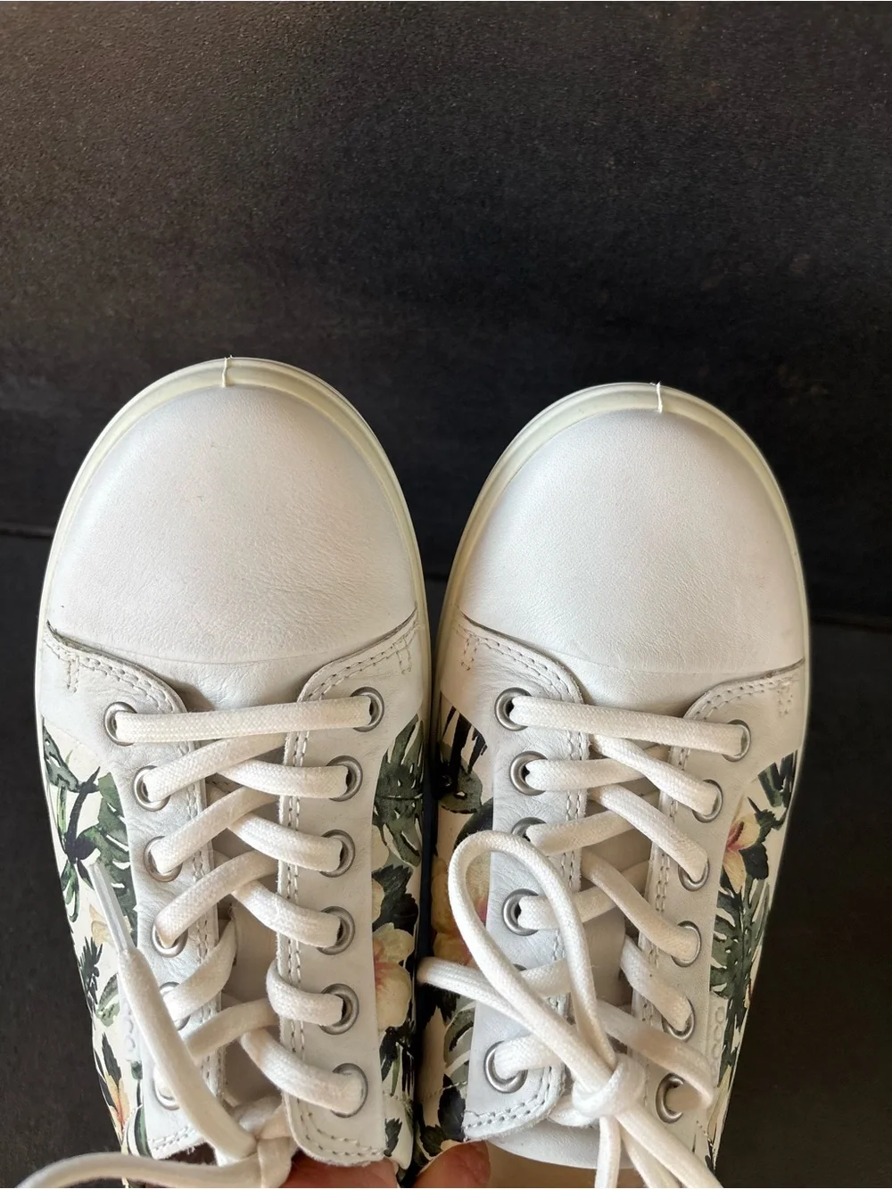 Ecco cute pair