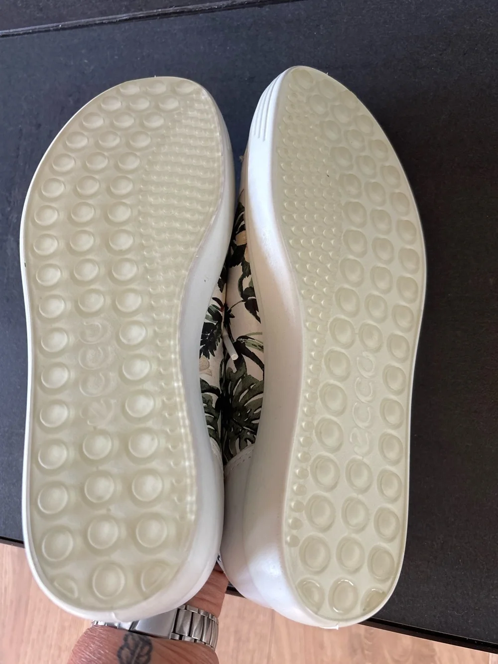 Ecco cute pair