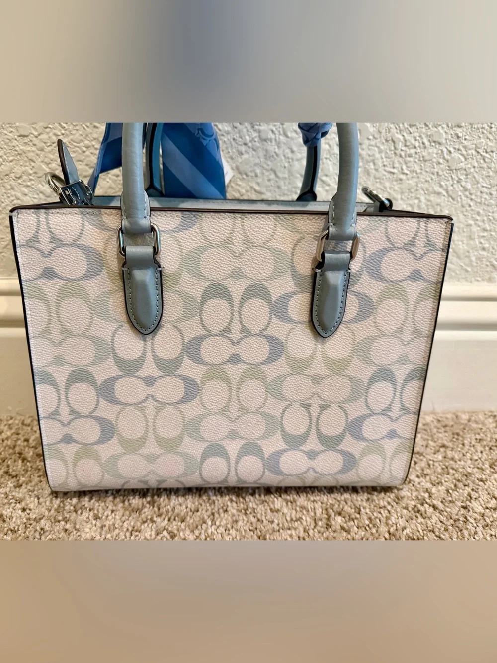 Coach elegant small