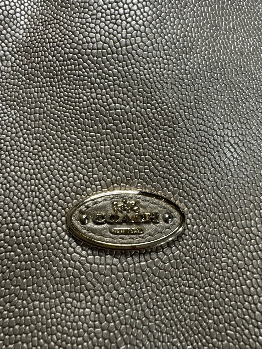 Coach Kelsey Metallic Pebbled Leather Shoulder Hobo