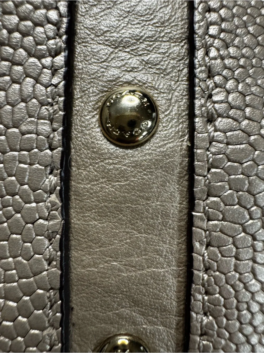 Coach Kelsey Metallic Pebbled Leather Shoulder Hobo