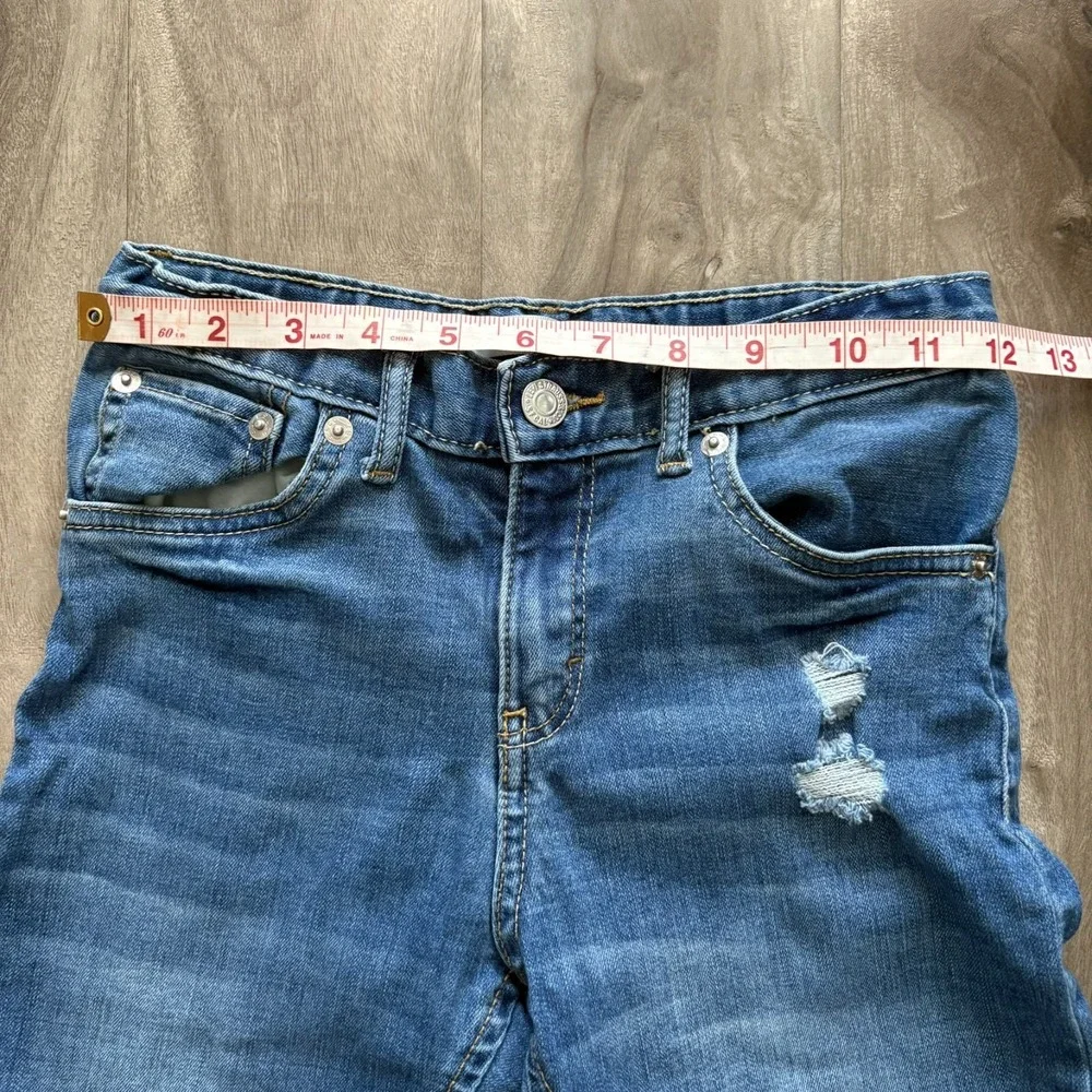 Levis brand levi