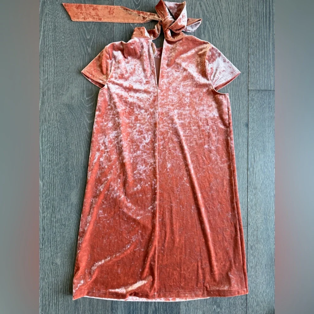 Madewell crushed velvet