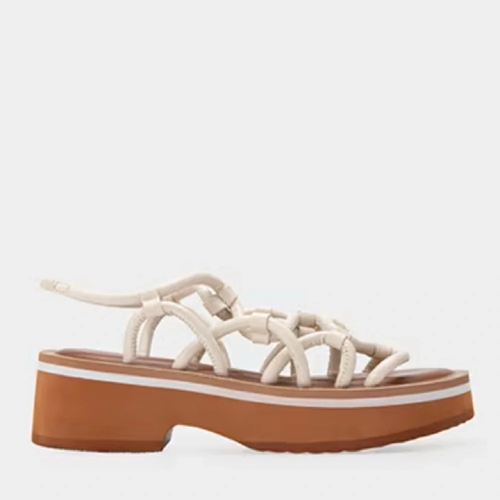 AEROSOLES reposhing this