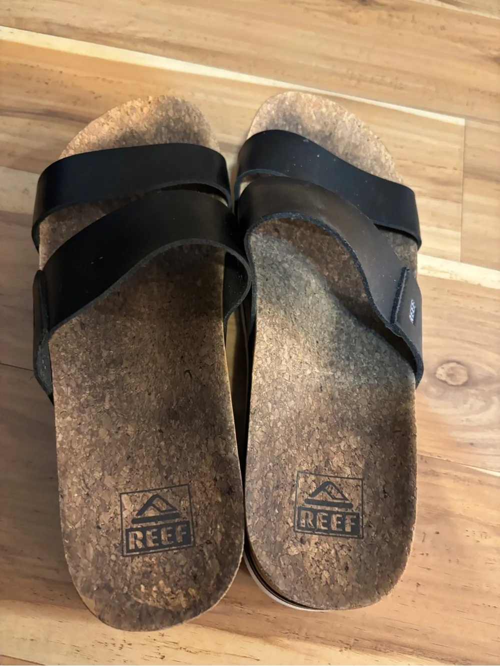 Reef classic black