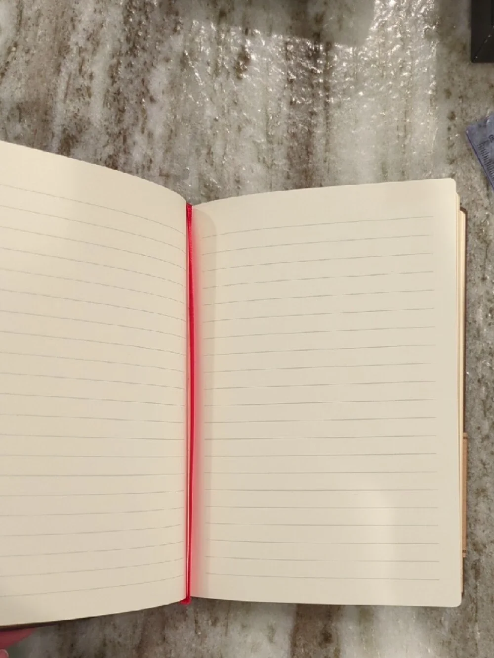 paperblanks vibrant jungle