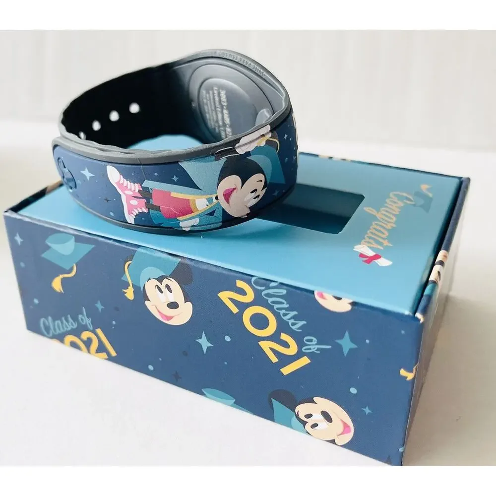 Disney parks class