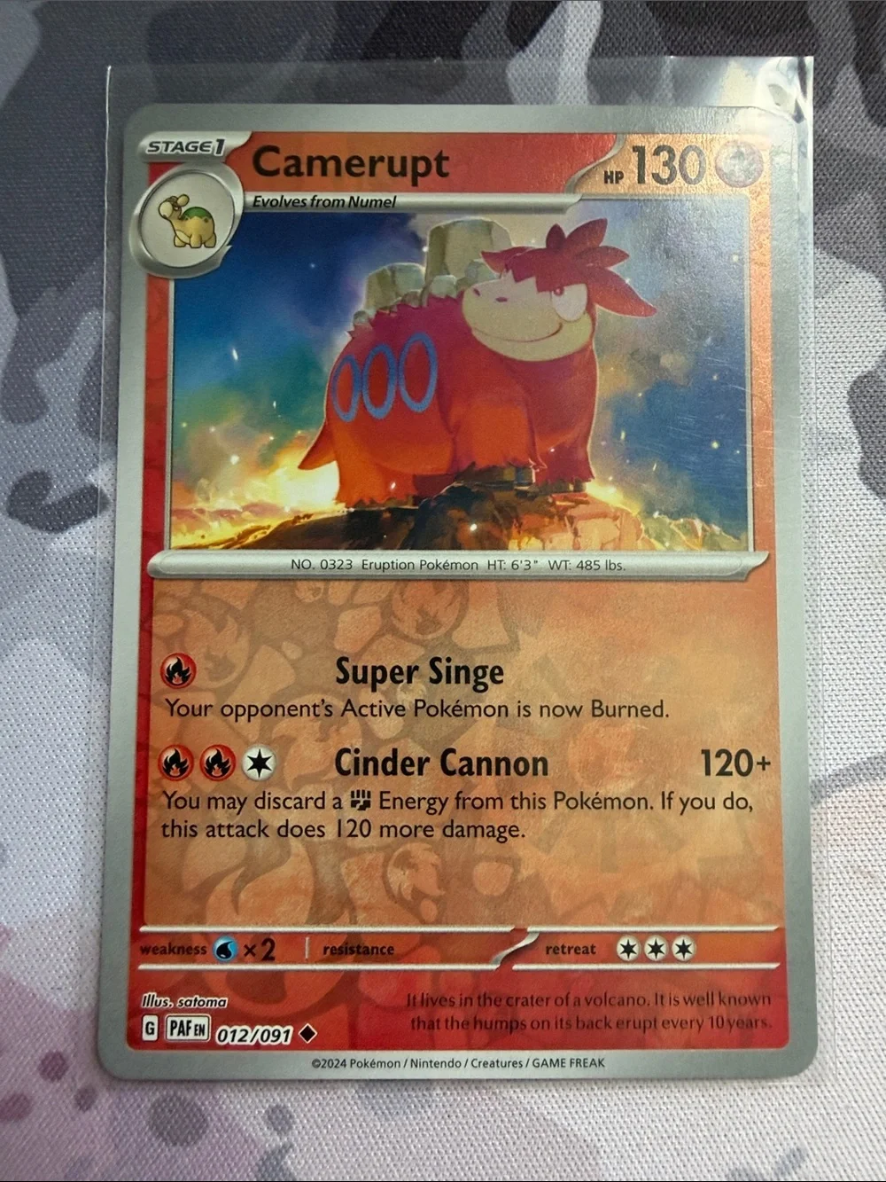 Pokemon numel camerupt