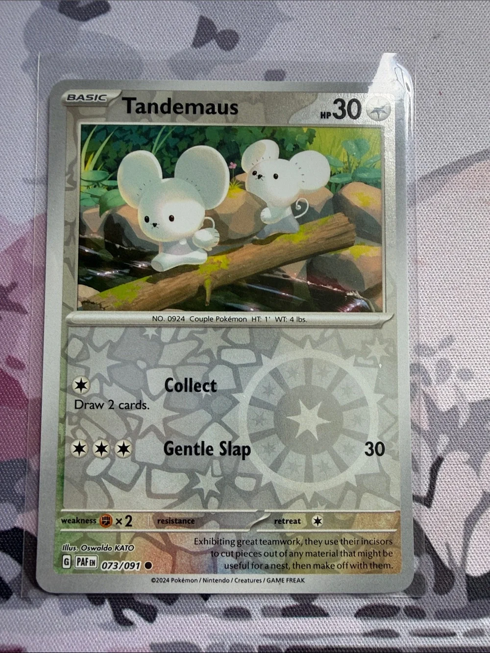 Pokemon tandemaus maushold