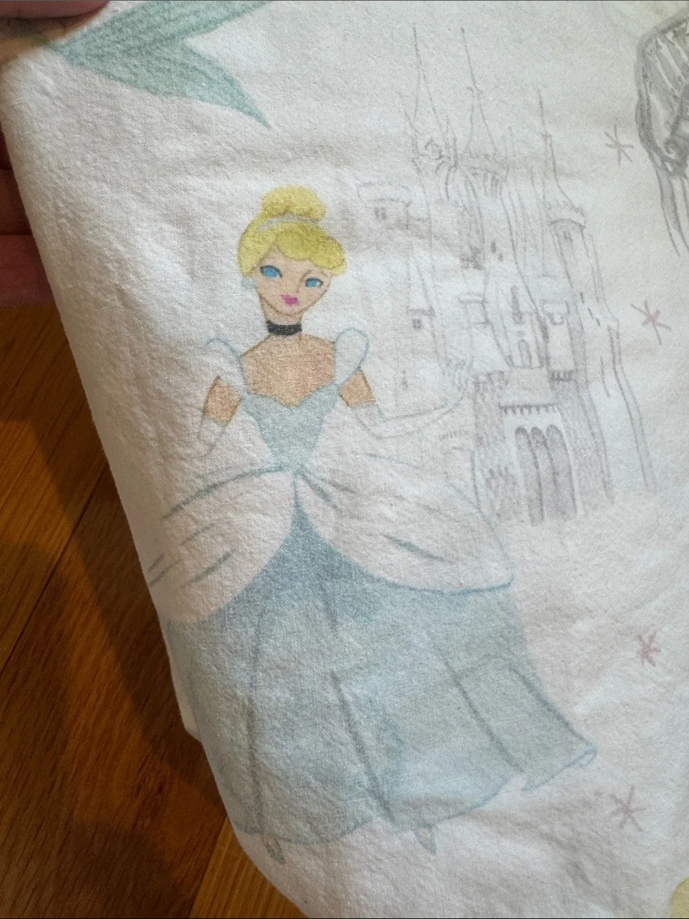 Pottery Barn Kids great used