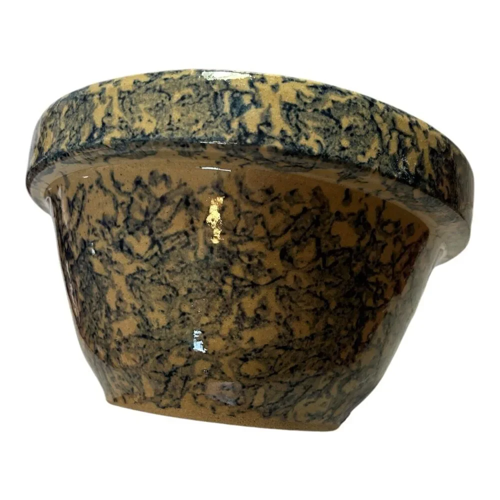 Robinson Ransbottom blue sponge