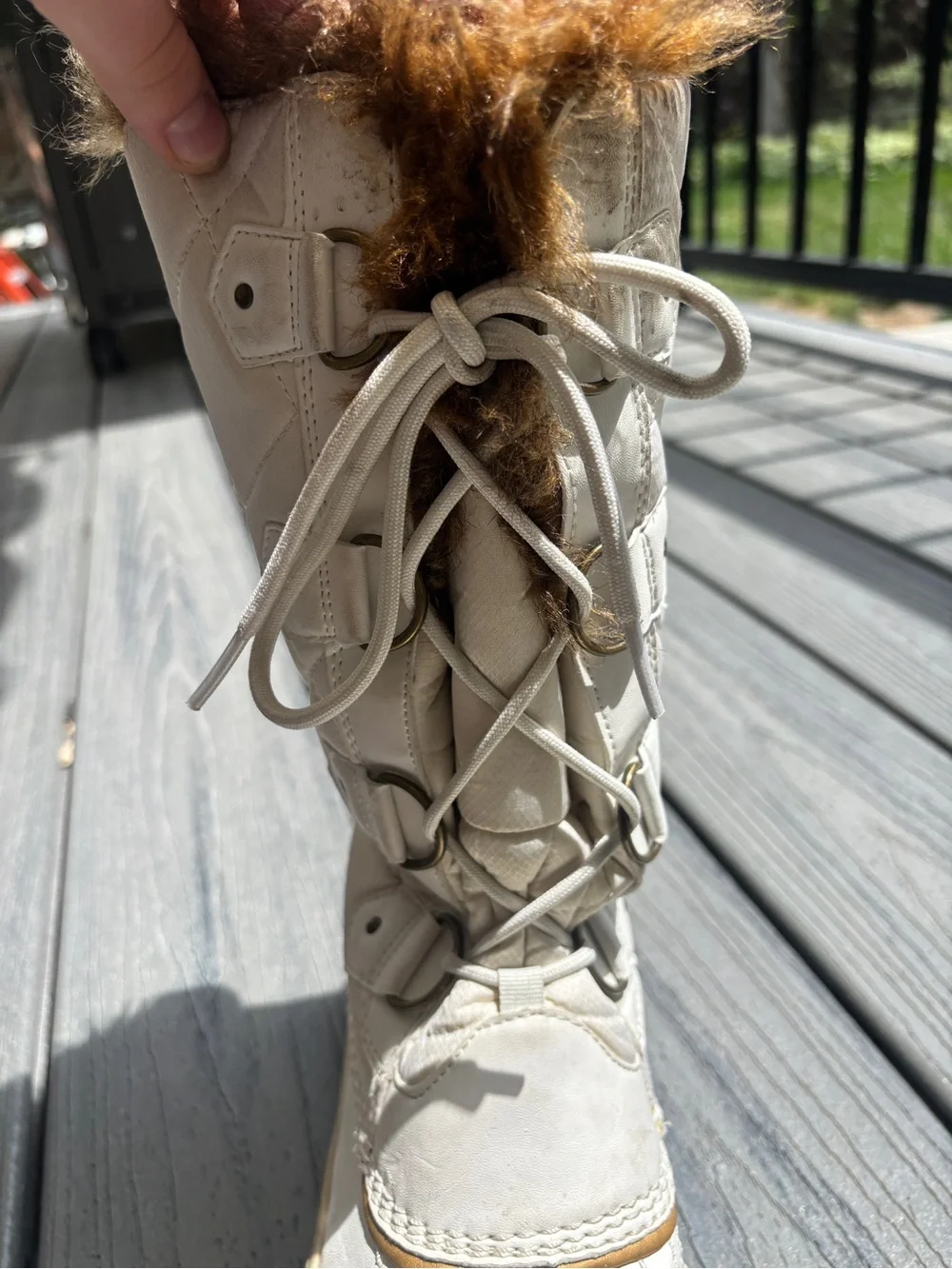 Skechers tall lace