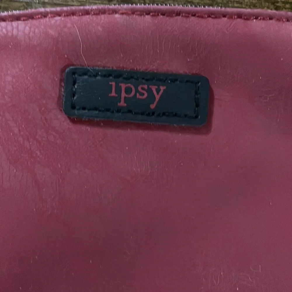 Ipsy Cosmetic Case * 7