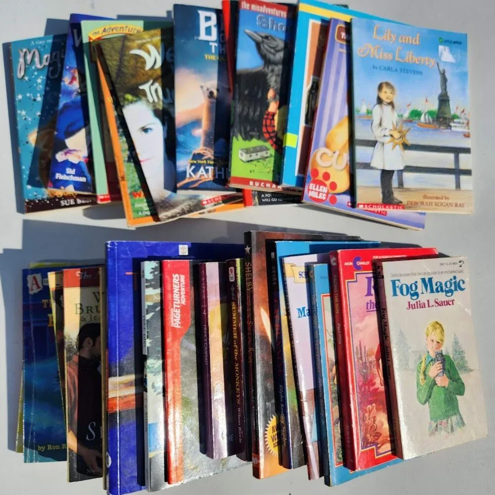 Scholastic book bundle