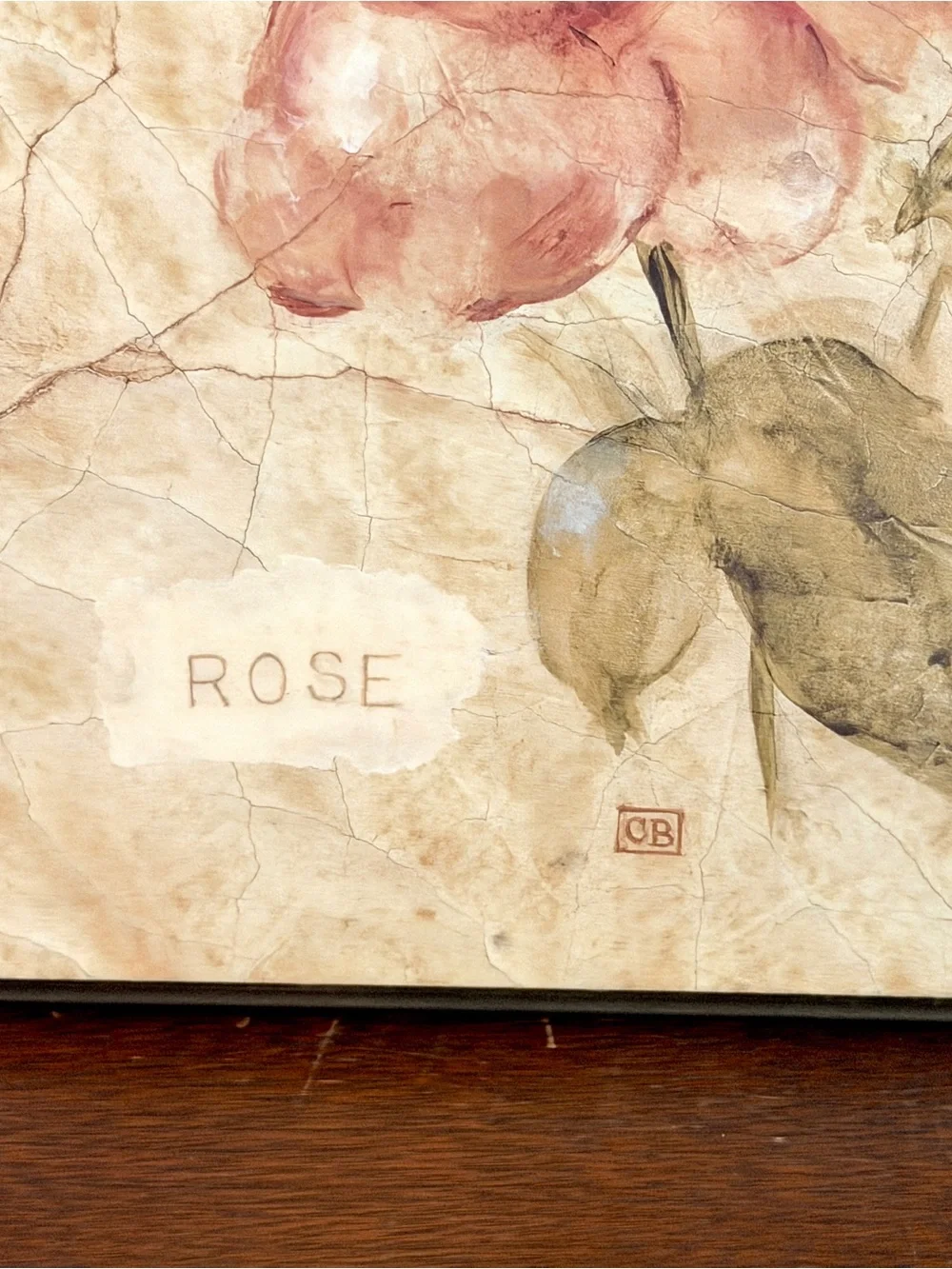 N/A rose wall