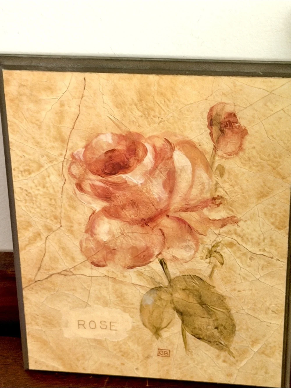 N/A rose wall