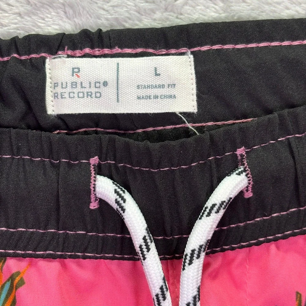 Public Record why you