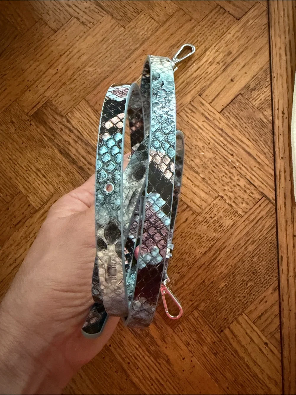 Bandolier new box