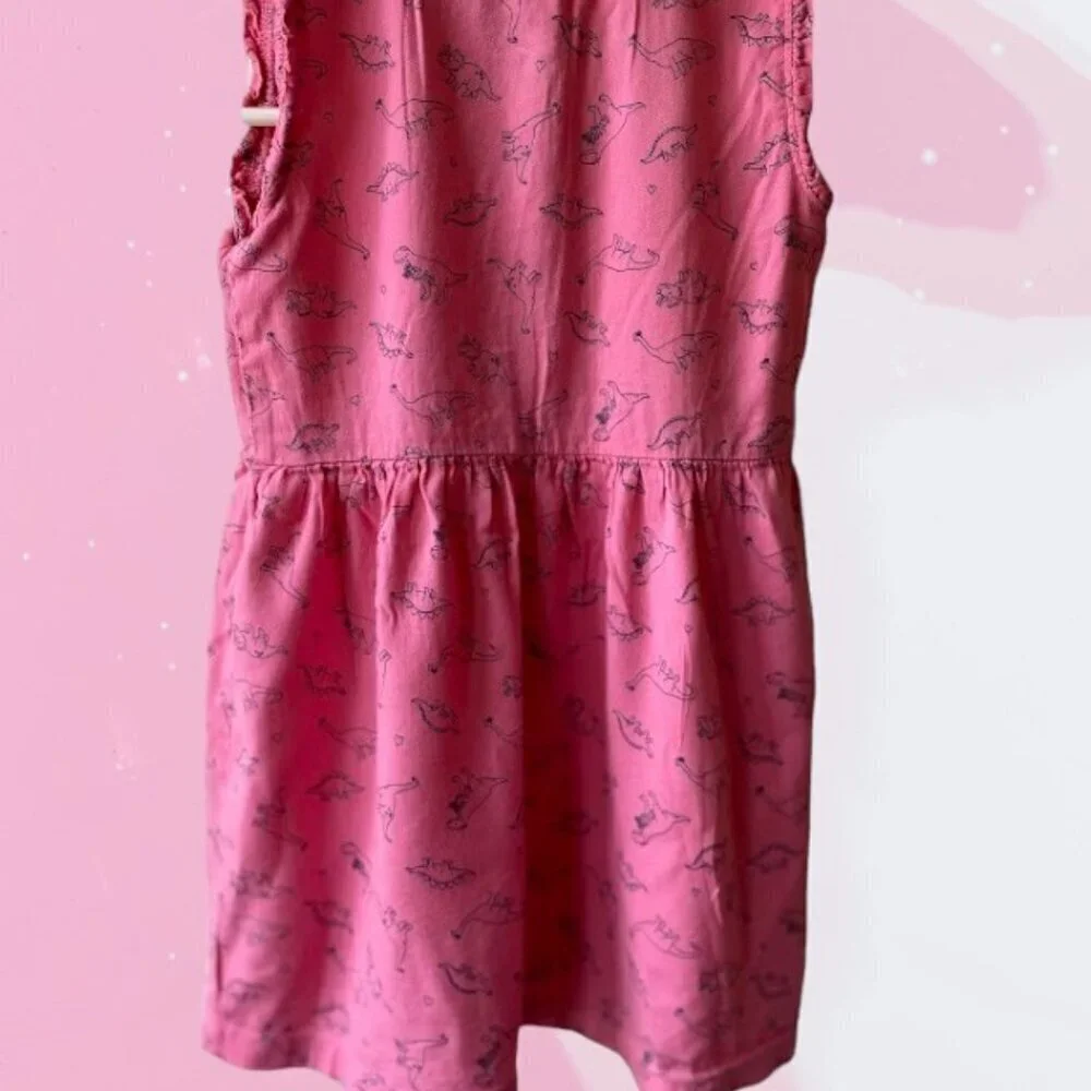 Carters carter dinosaur