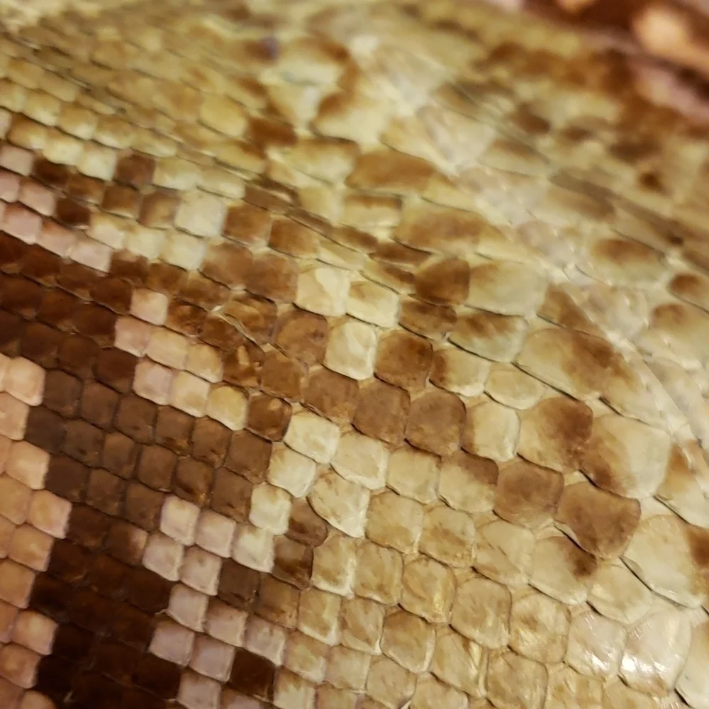 Vintage varon snakeskin