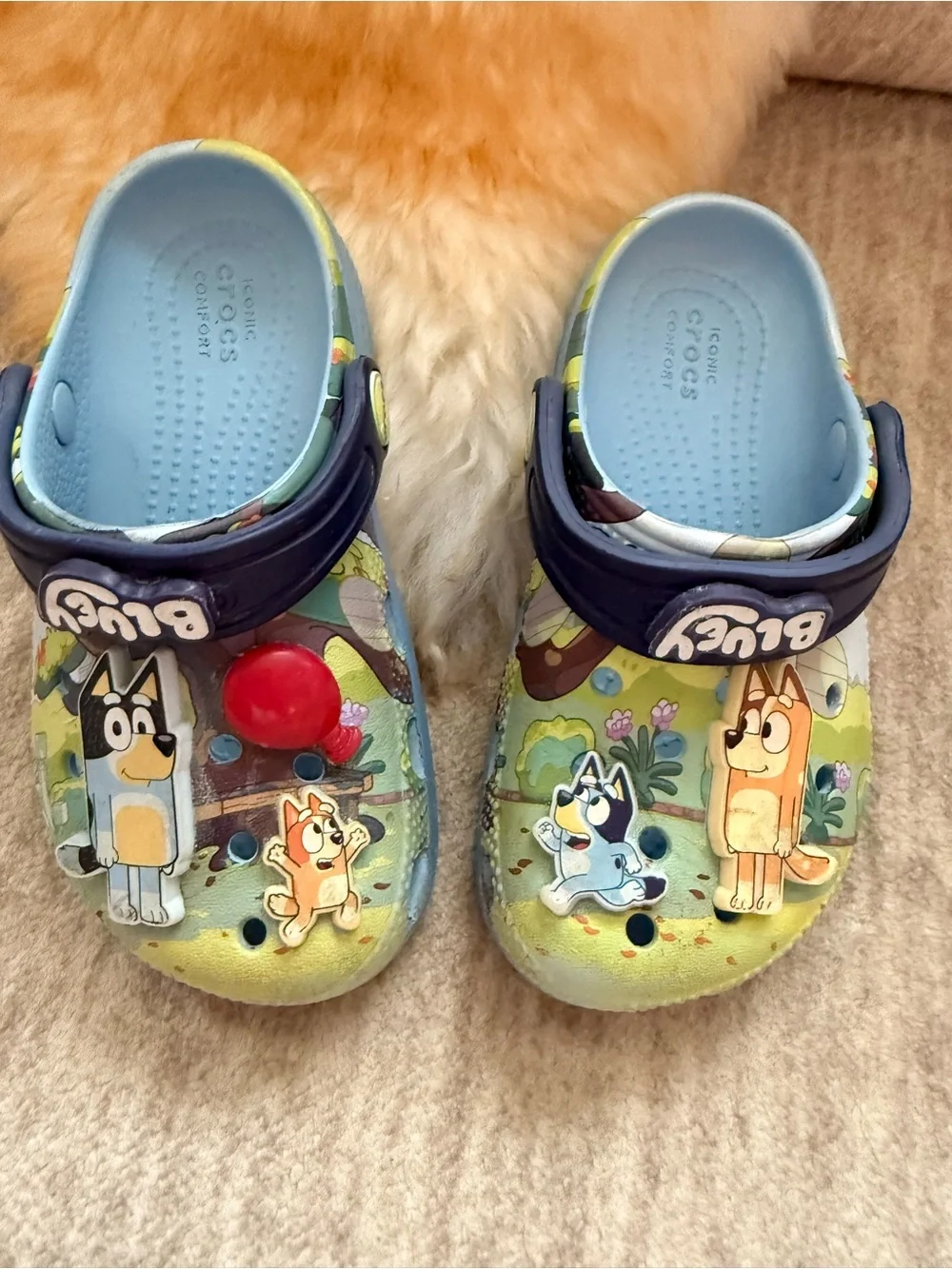 CROCS daughter wore