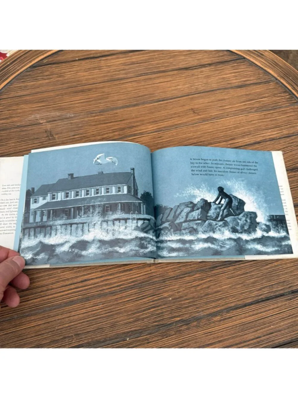 N/A beautifully illustrated