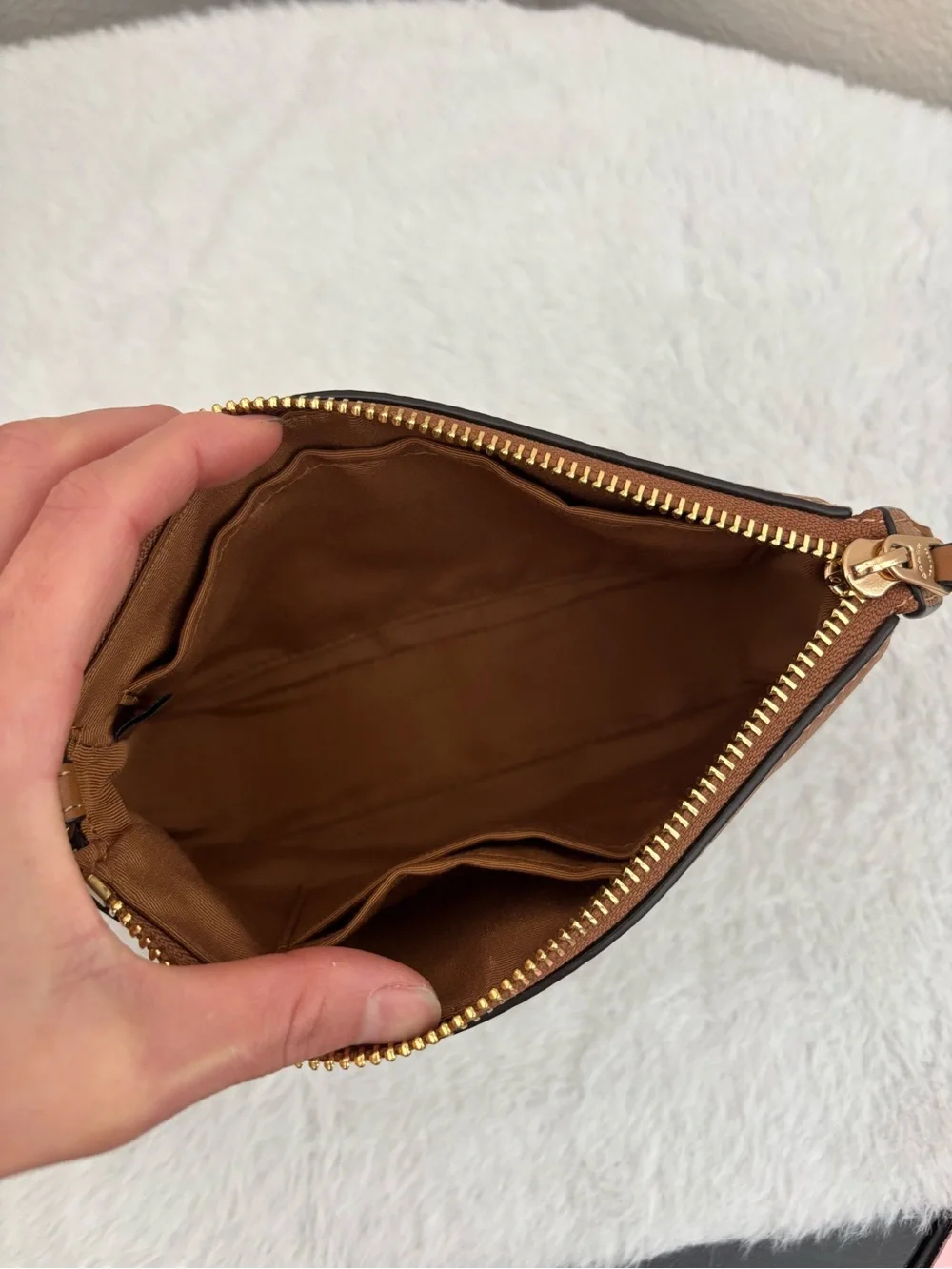 Coach can features approximately