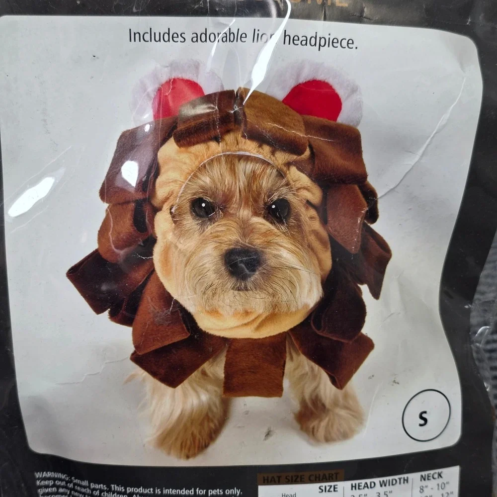 Anit Accessories lion dog