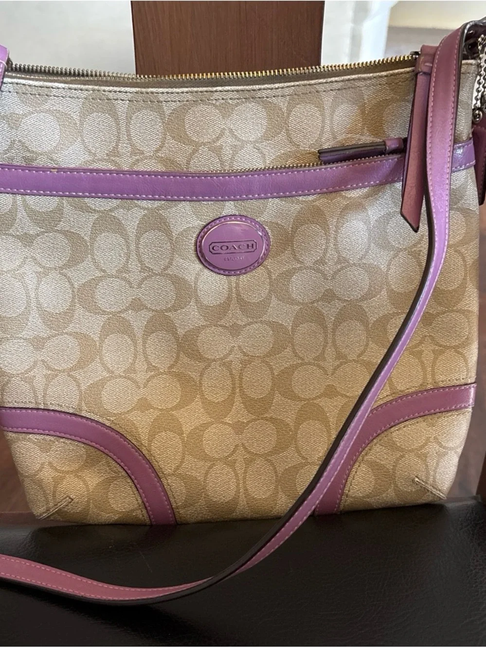 Coach classic silhouette