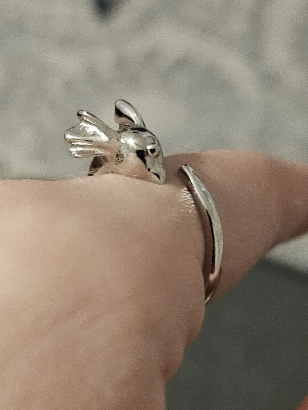 Pokemon polished silver