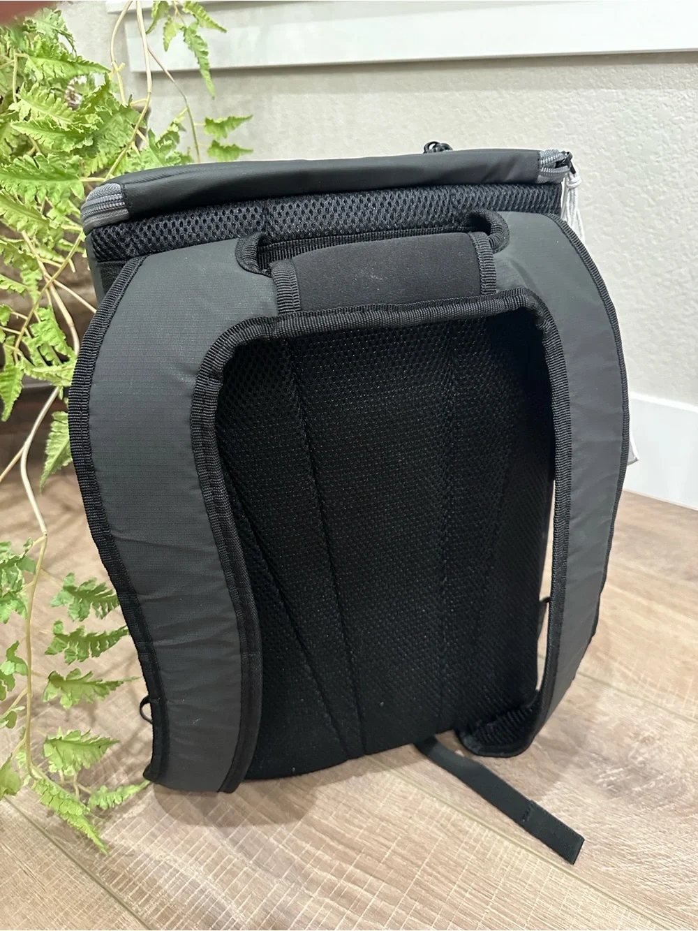 Tommy Bahama padded by