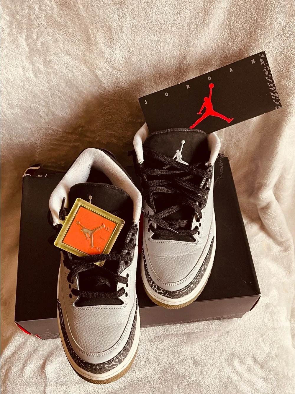 Jordan iconic air