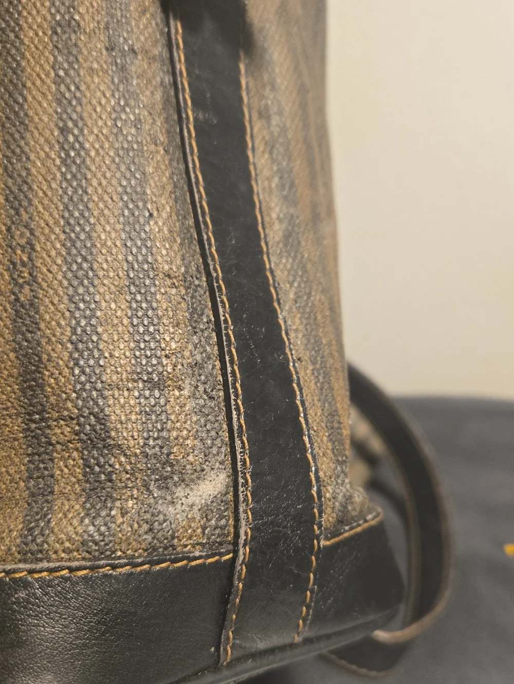 Fendi classic canvas