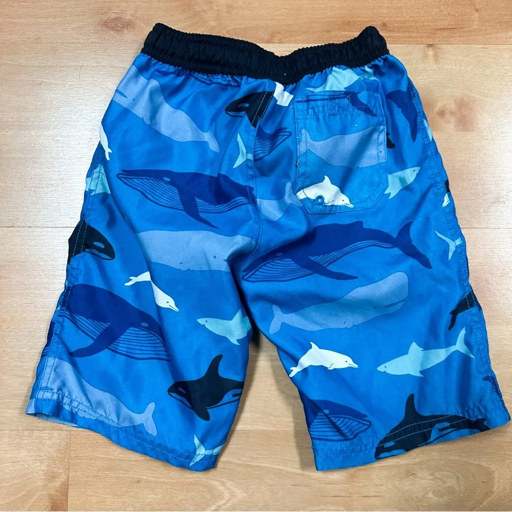 Gymboree boys blue