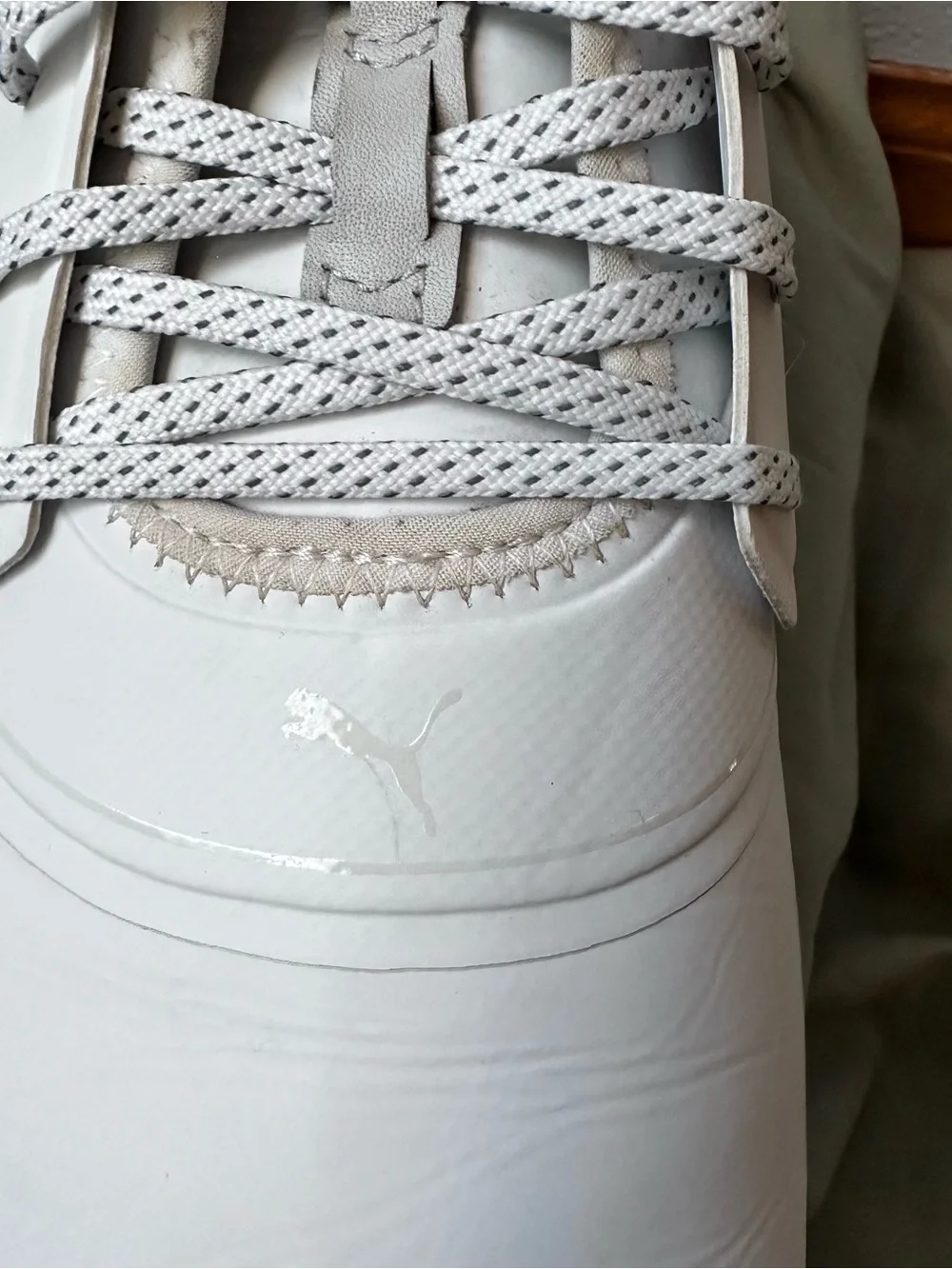 Puma streamlined low