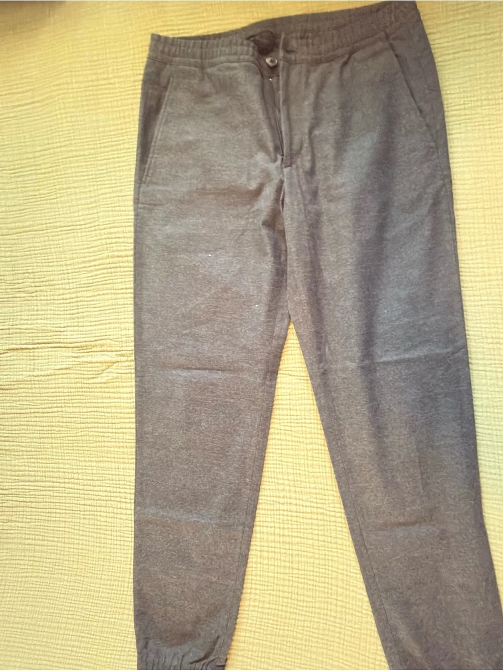 Theory men jogger