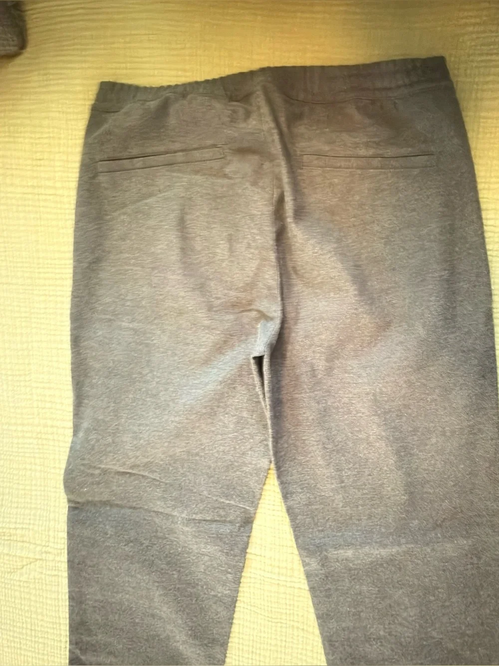 Theory men jogger