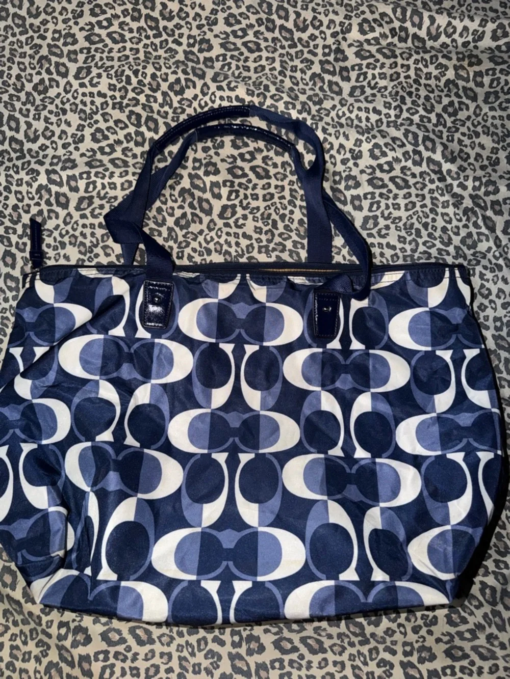 Coach dream weekender