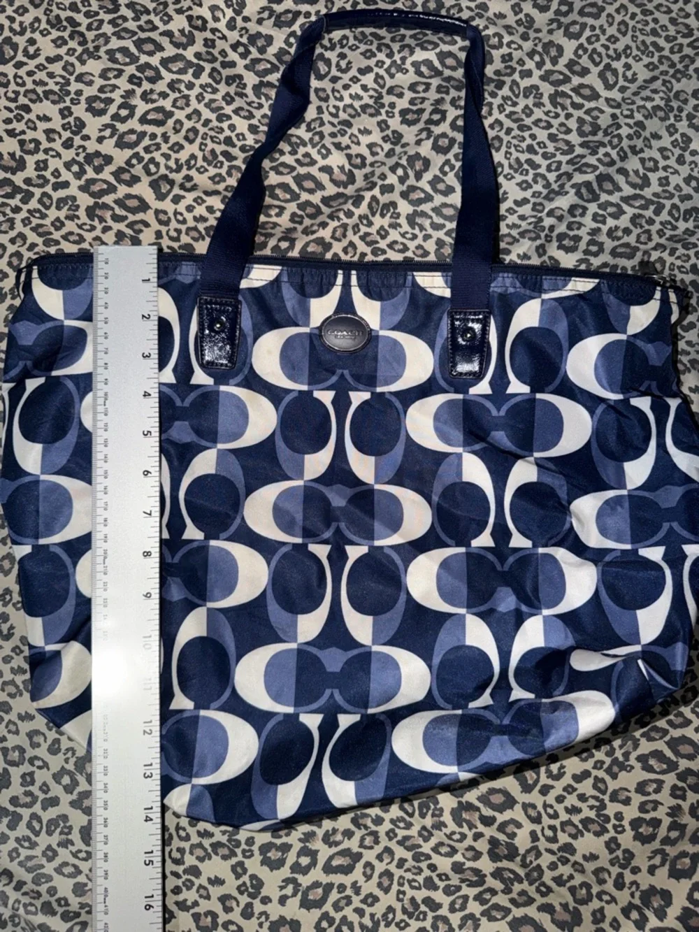 Coach dream weekender