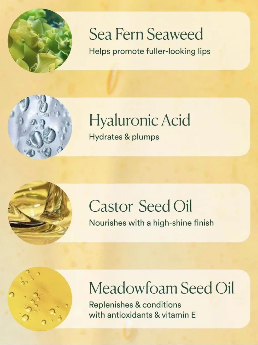 OSEA Sweet Mango Mandarin Hyaluronic Lip Oil Booster