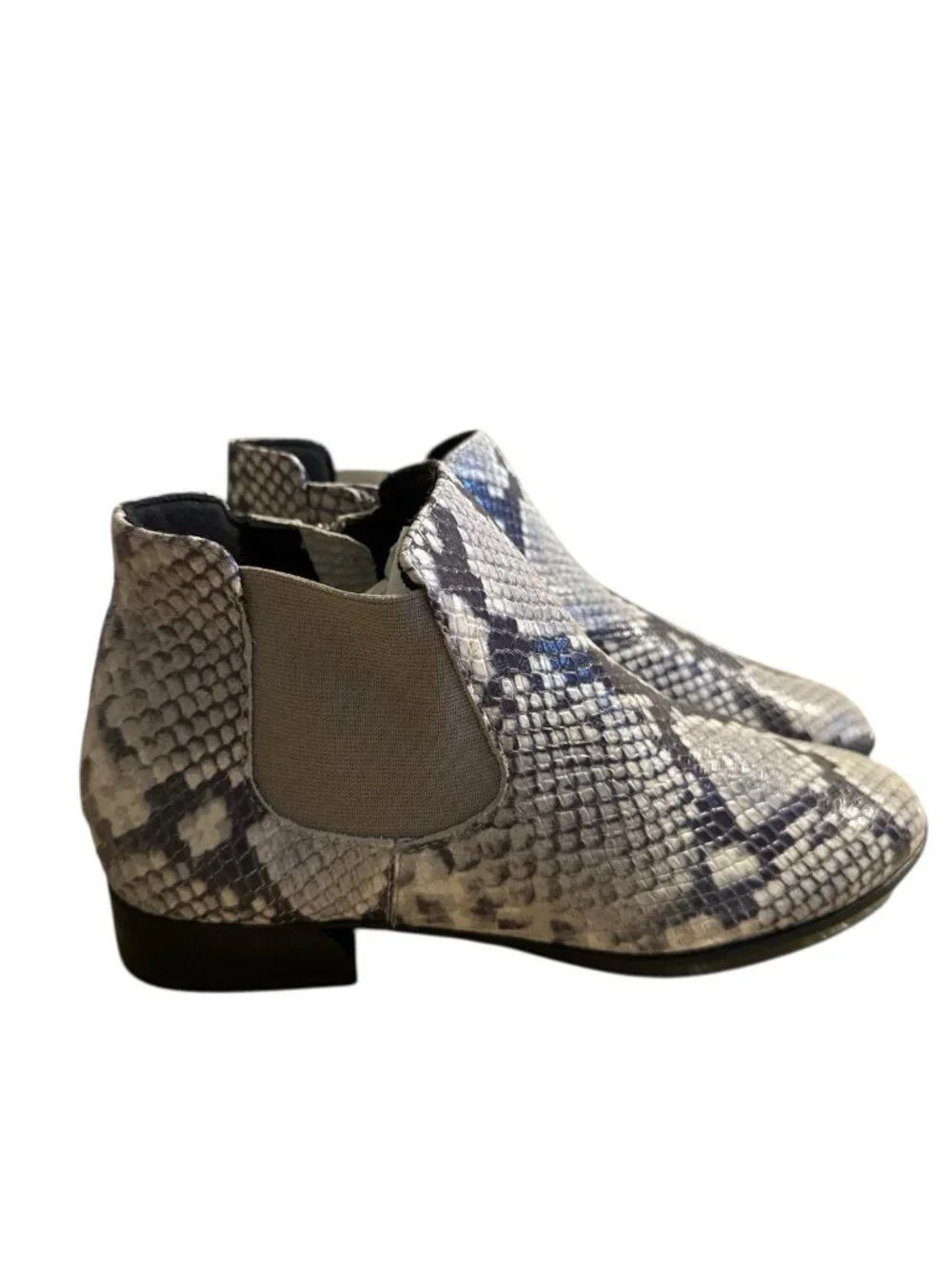 Munro women cate