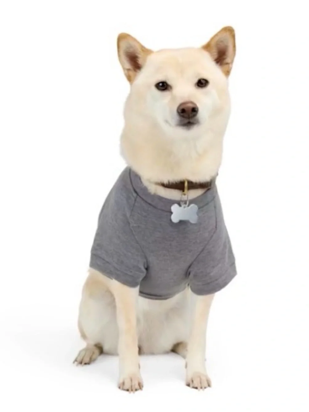 Reddy soft gray