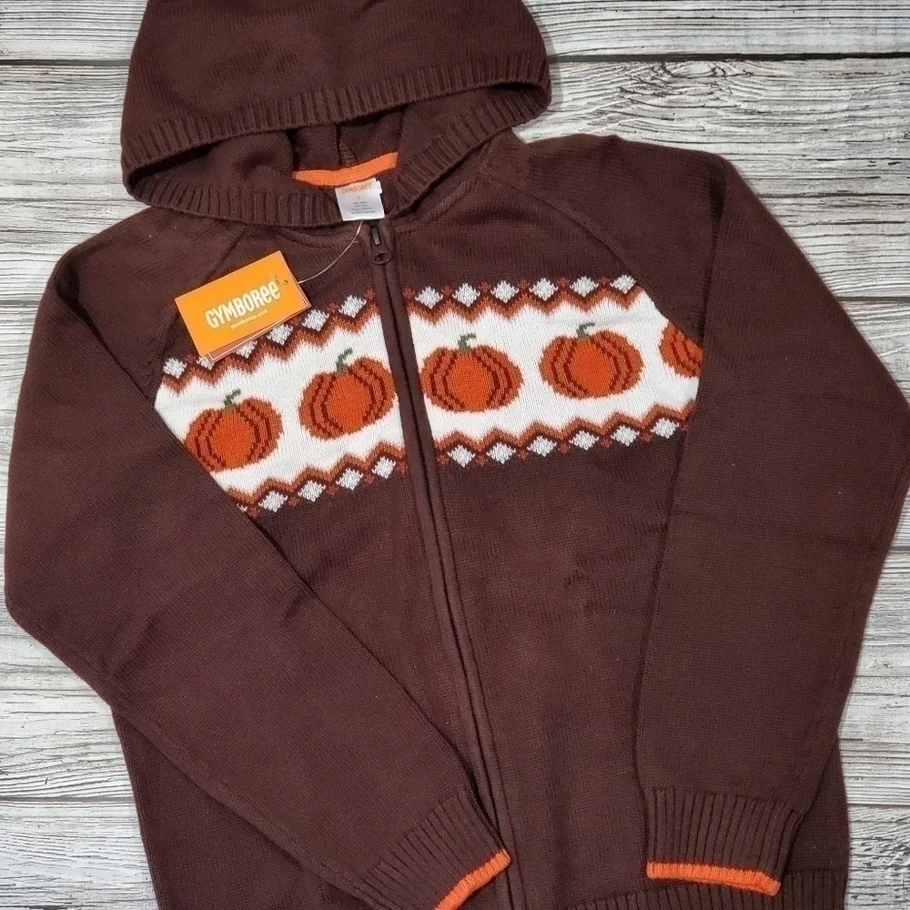Gymboree pumpkin sweater