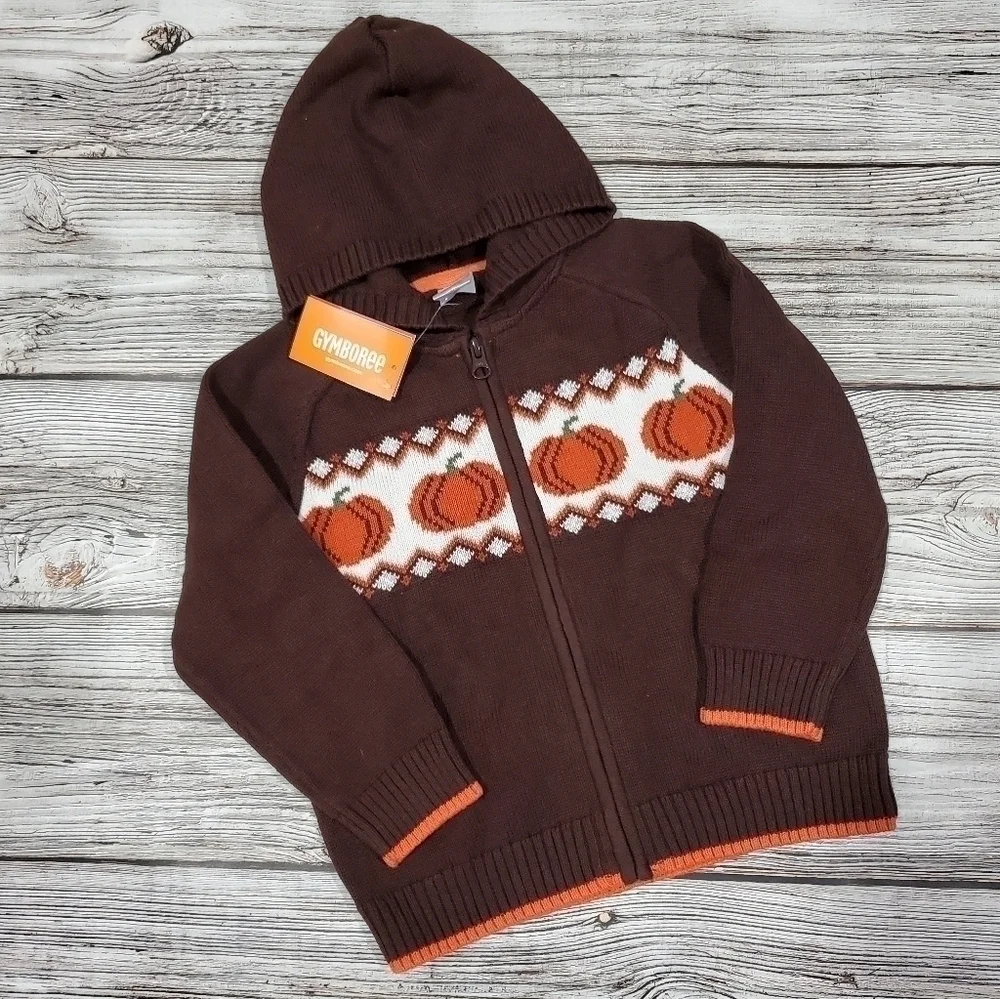 Gymboree pumpkin sweater
