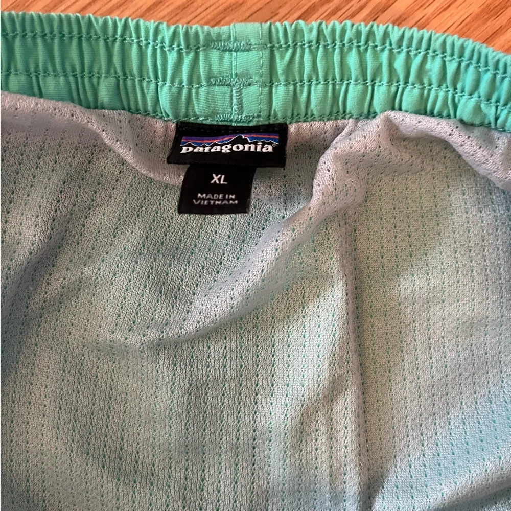 Patagonia swim trunks