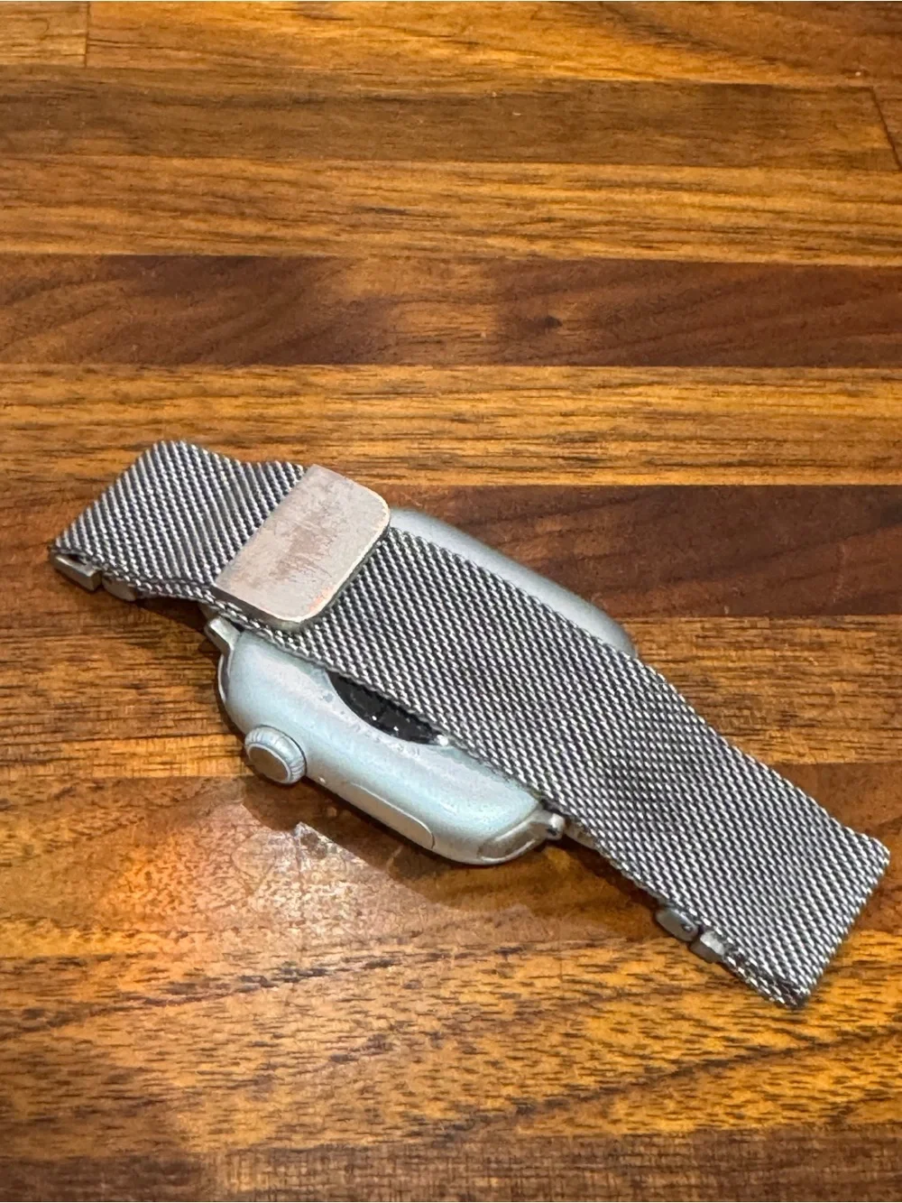 Apple meet watch