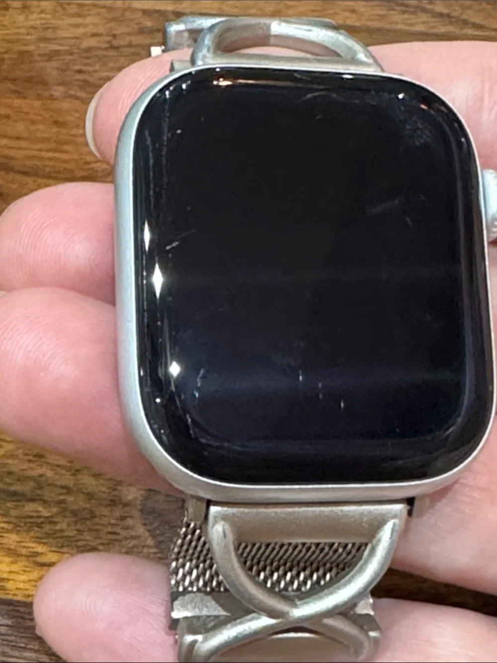 Apple meet watch